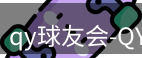 qy球友会